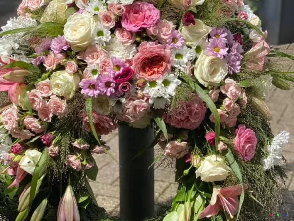 116693199 1727755524048340 8260732018799399060 n