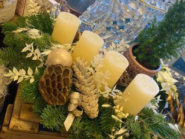 127604025 1849698611854030 7730988344445690452 n