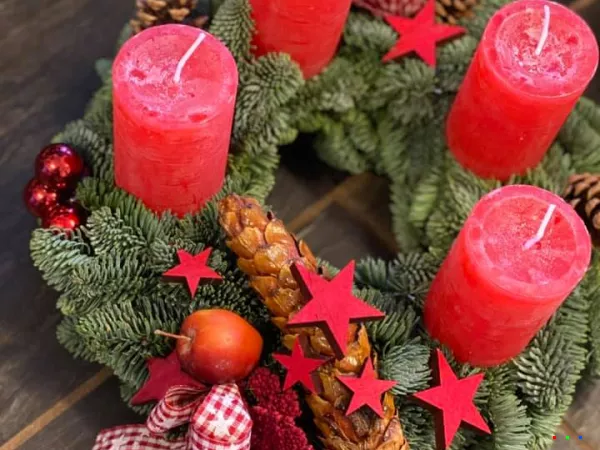 127630562 1849698695187355 4318104414028414759 n