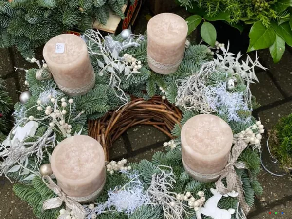 127802700 1849698585187366 8855165864275951821 n