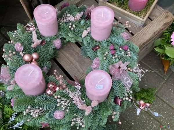 127862527 1849698538520704 7519409407628923374 n