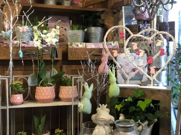 49575835 1238115459679018 4525156128358662144 n1