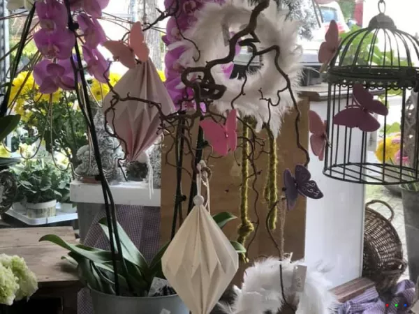 49712753 1238115606345670 6931334130567217152 n1