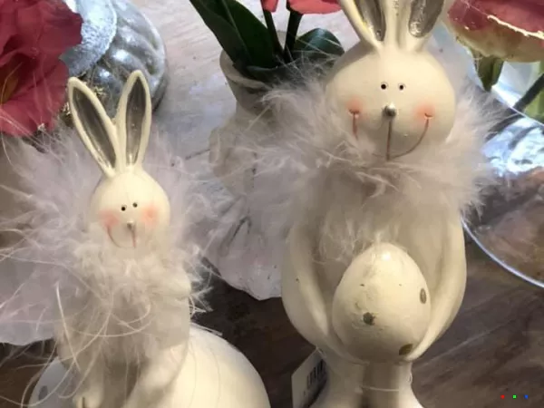 49730799 1238728176284413 2571633212035956736 n1