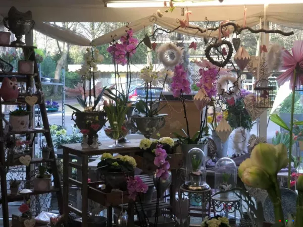 49801094 1238115506345680 6190361012542111744 n