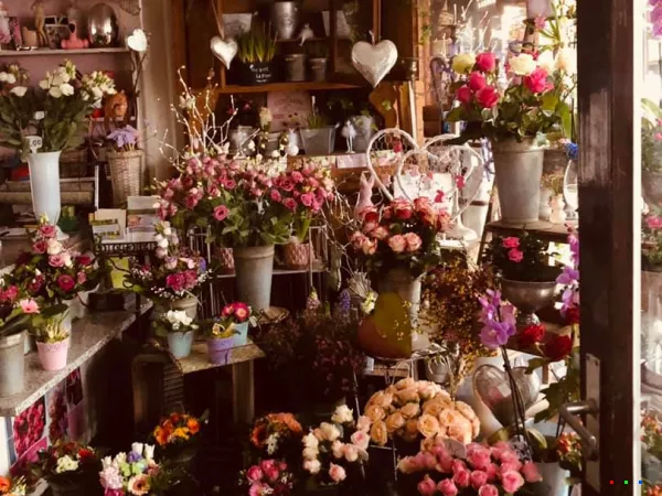 51484451 1260806487409915 5586395513013403648 n1