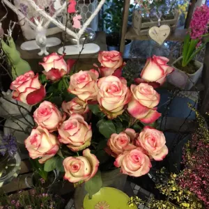 51904365 1260806560743241 2900490615848435712 n1