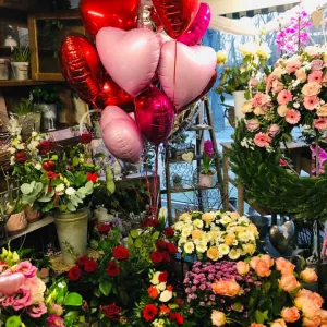 52598886 1263474607143103 674342133561294848 n1