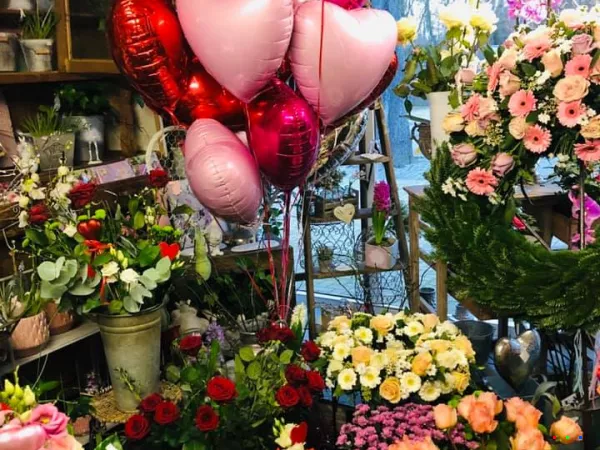 52598886 1263474607143103 674342133561294848 n2