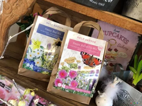 52766726 1270980543059176 8247833781084356608 n