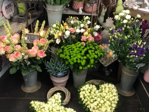 56681322 1299731403517423 740220287567527936 n