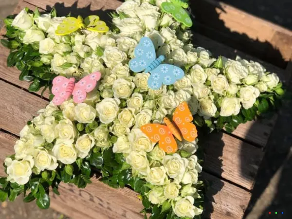 56942476 1299731393517424 384161490069880832 n