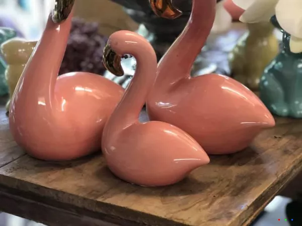 57674208 1303860426437854 8112800069427658752 n