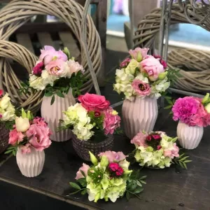 61067997 1330351930455370 5326233882012418048 n1