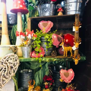 72159514 1434144500076112 5149485747169918976 n