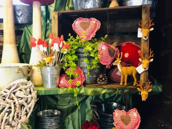 72159514 1434144500076112 5149485747169918976 n1