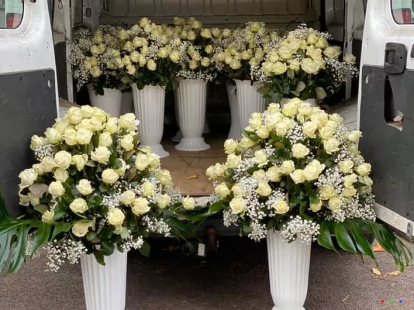 76784562 1478256295664932 59532825157697536 n