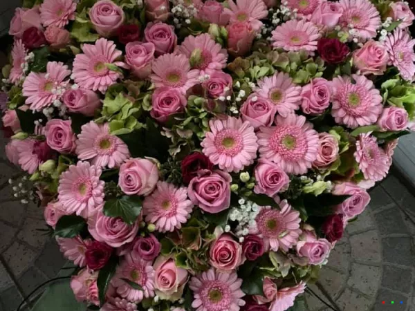 77255348 1492267724263789 154167619161686016 n