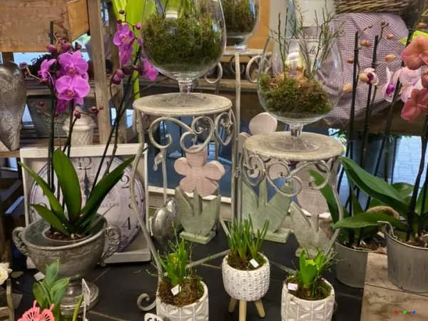 81521967 1537594403064454 7783496354088615936 n