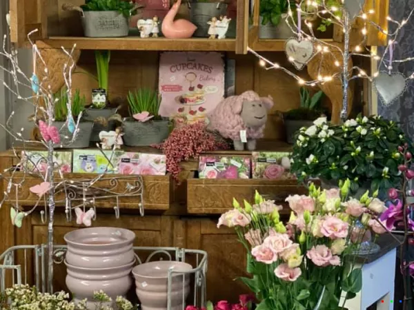 81985241 1537594323064462 5280887183509553152 n