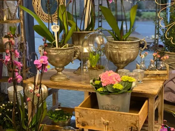 81987632 1537594273064467 2062269658601357312 n