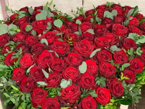 83176940 1559762334180994 2748457939030245376 n