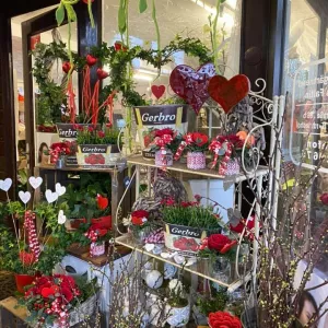 85170644 1571181566372404 4119660109800407040 n1