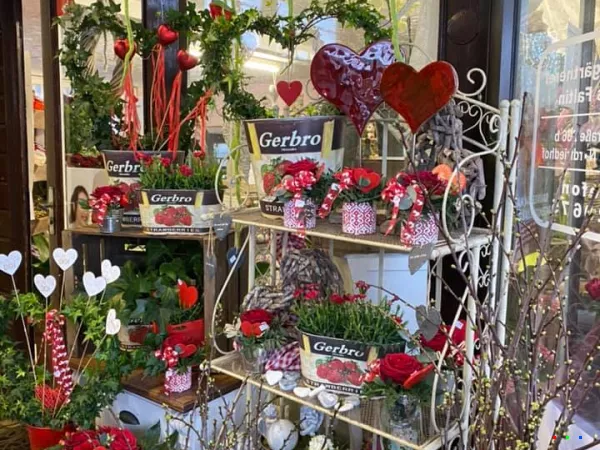 85170644 1571181566372404 4119660109800407040 n1