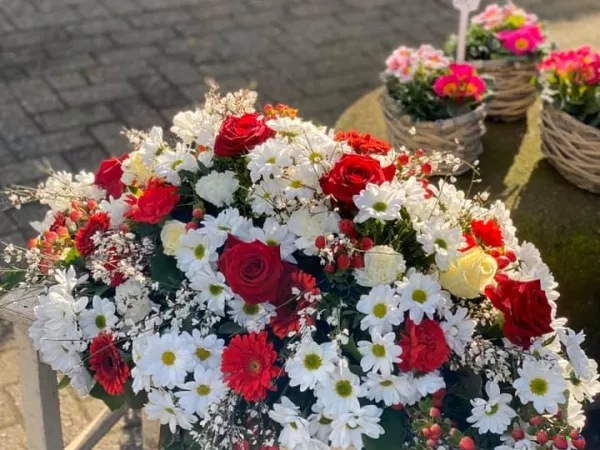 85255357 1573818289442065 3173203232210026496 n