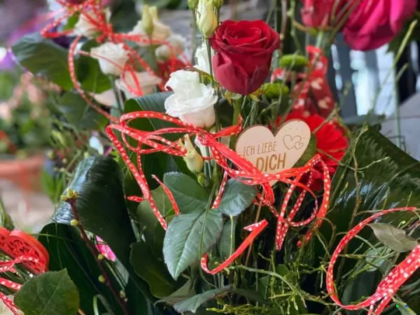 86498626 1571181519705742 451453371216297984 n1