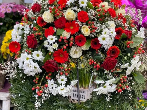 86639118 1573818342775393 3900787790417231872 n