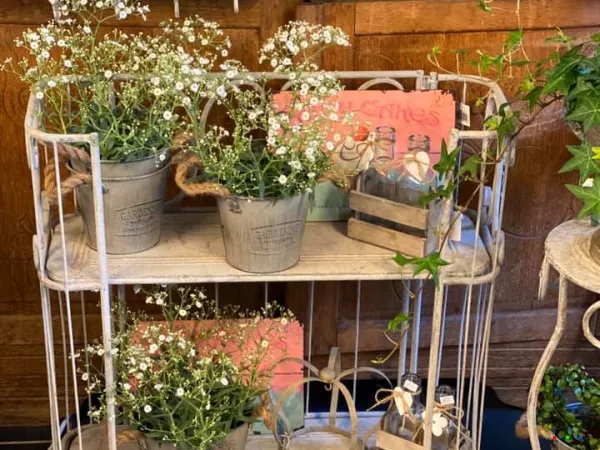 94780504 1642364259254134 3545164223430524928 n