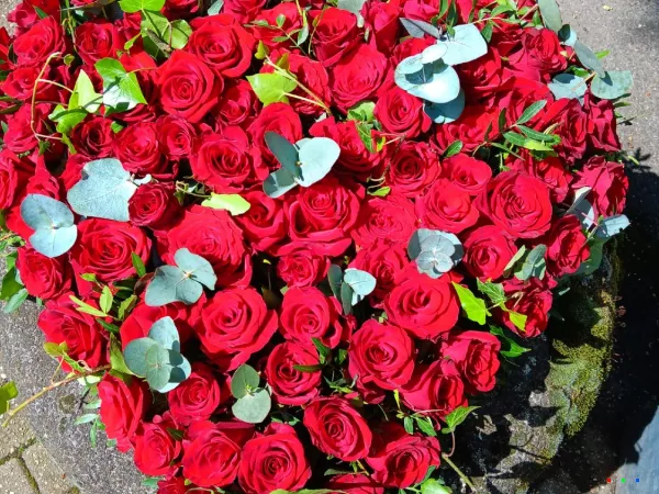 trauer floristik 2024 2